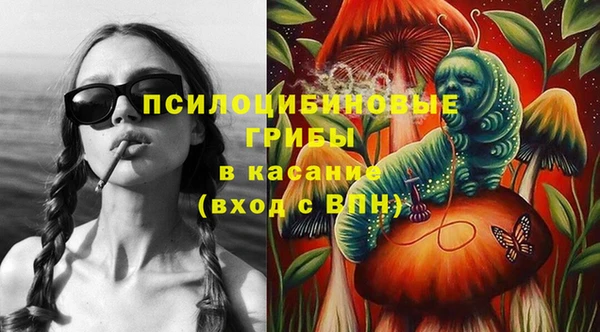 МДПВ Волоколамск