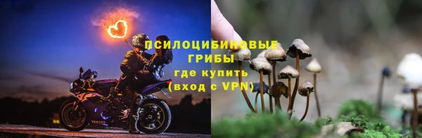 твердый Володарск