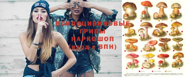 МДПВ Волоколамск