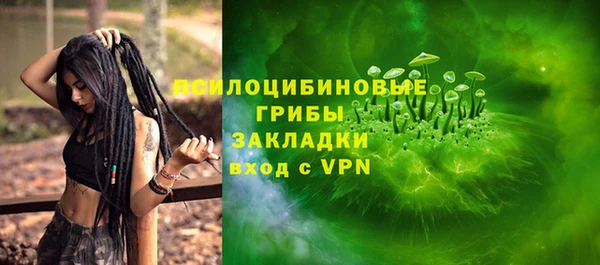 твердый Володарск