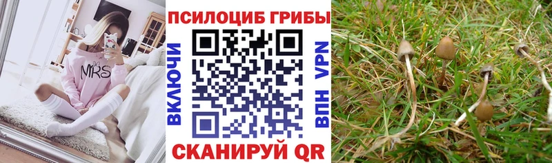 Псилоцибиновые грибы Magic Shrooms  Купить где  Спасск-Дальний 